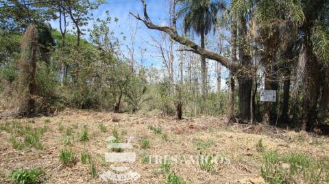 Level River front lot in Palmira
