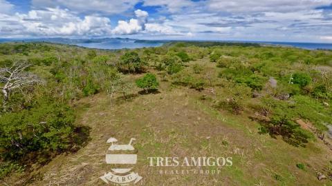 1.1 hectare  Ocean View Lot in Papagayo