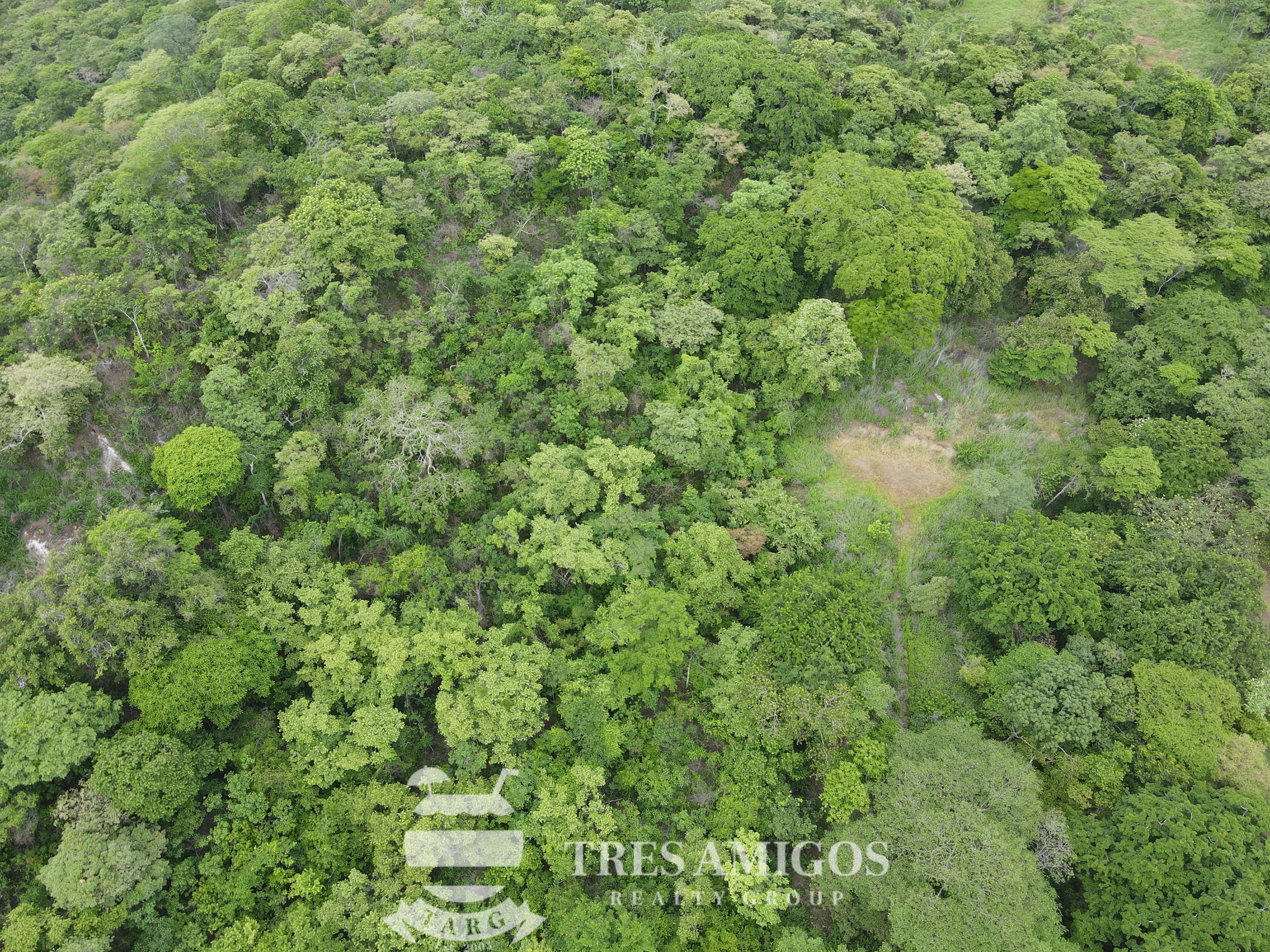 2 acres lot with mature trees in Costa Rica